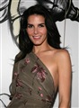 Angie Harmon