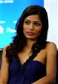 Freida Pinto