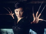 Kelly Hu