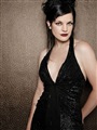 Pauley Perrette