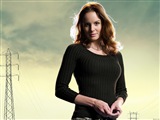 Sarah Wayne Callies