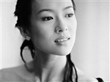 Zhang Ziyi