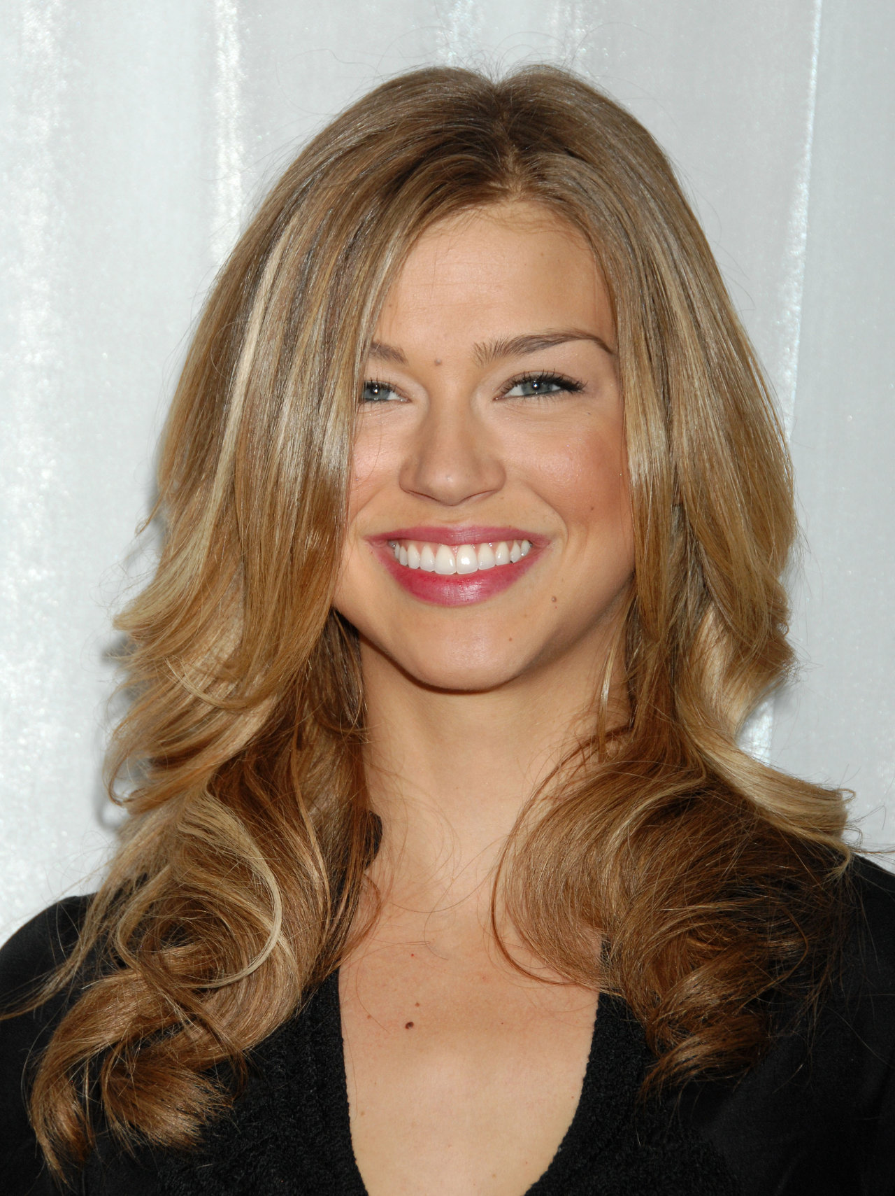 Adrianne Palicki leaked wallpapers