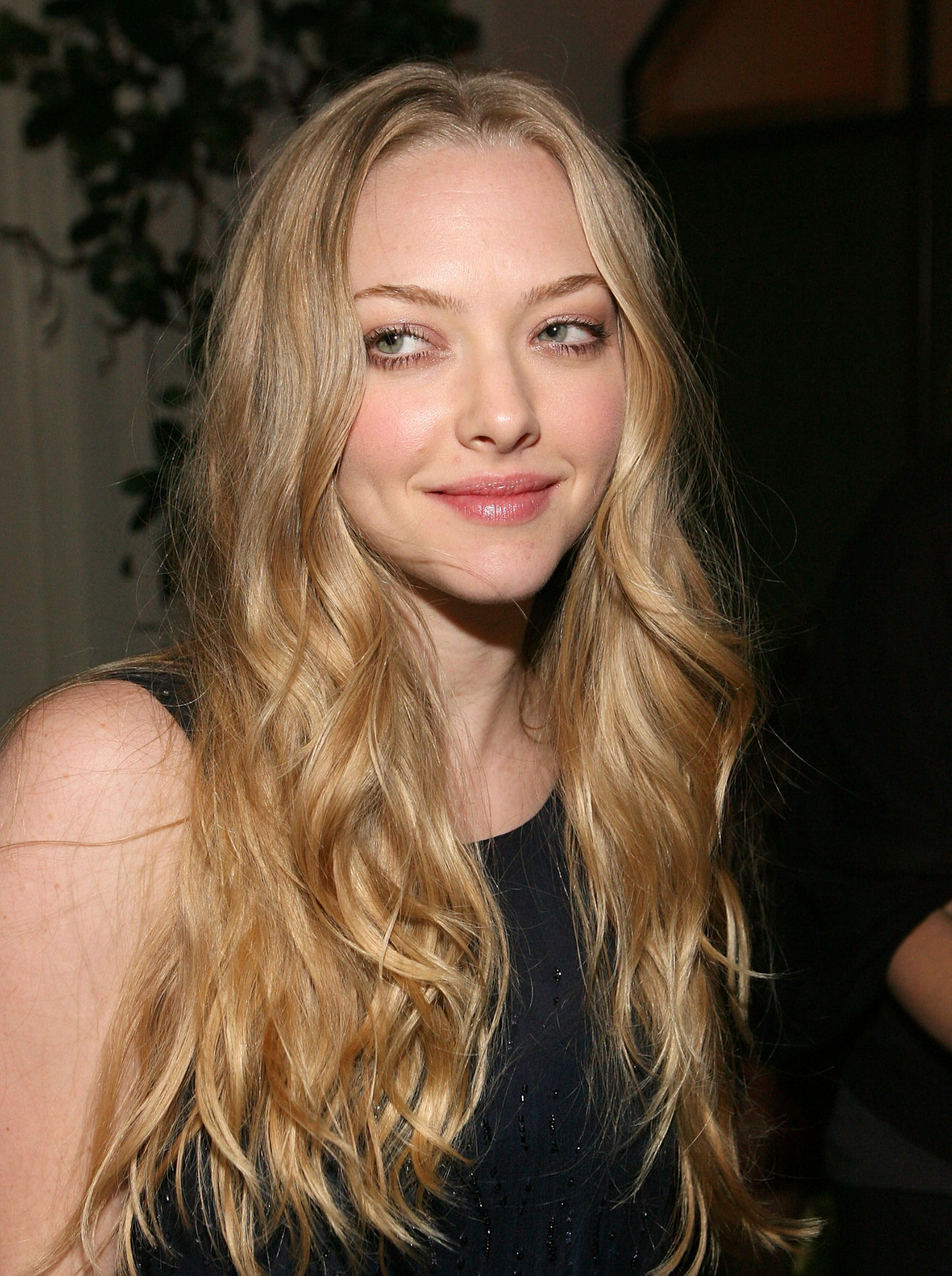 Amanda Seyfried leaked wallpapers