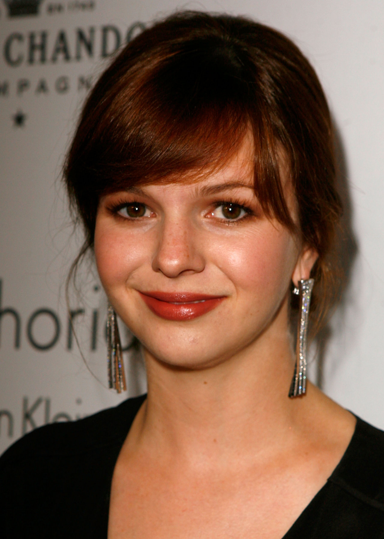 Amber Tamblyn leaked wallpapers