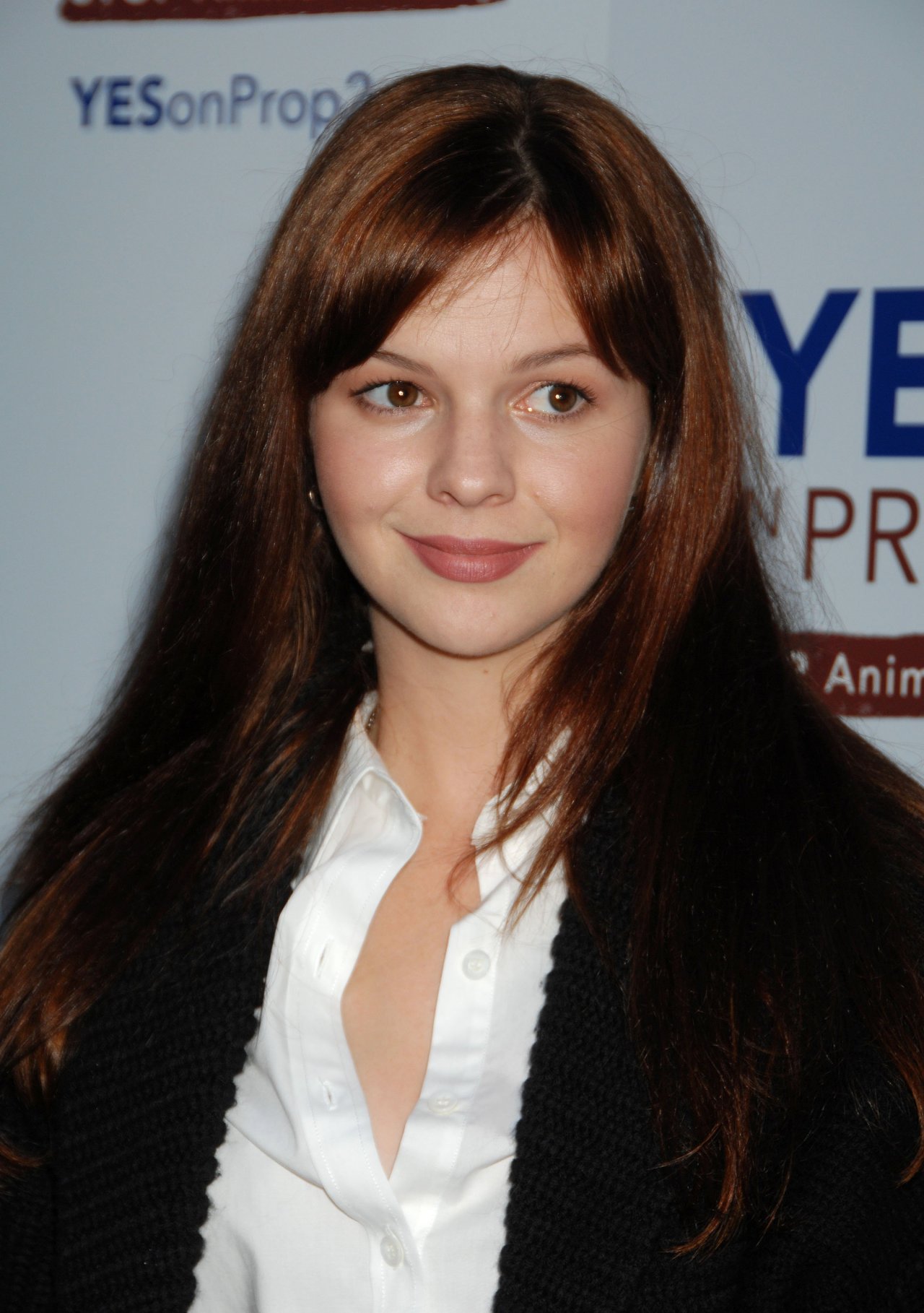 Amber Tamblyn leaked wallpapers