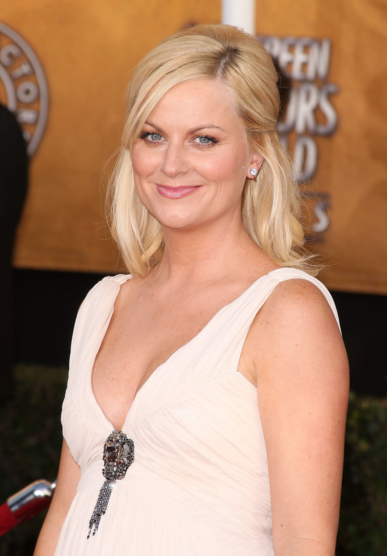 Amy Poehler leaked wallpapers