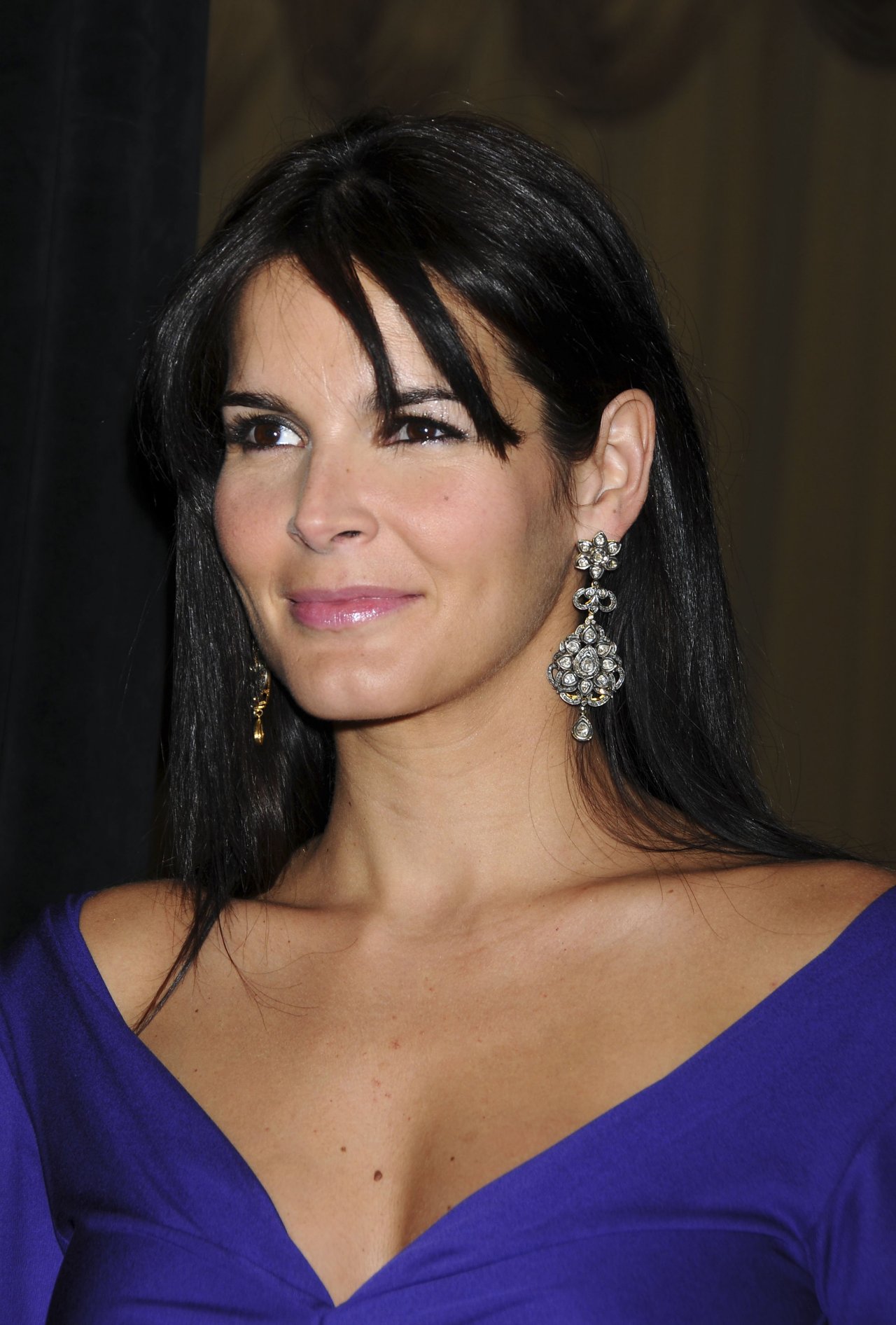 Angie Harmon leaked wallpapers