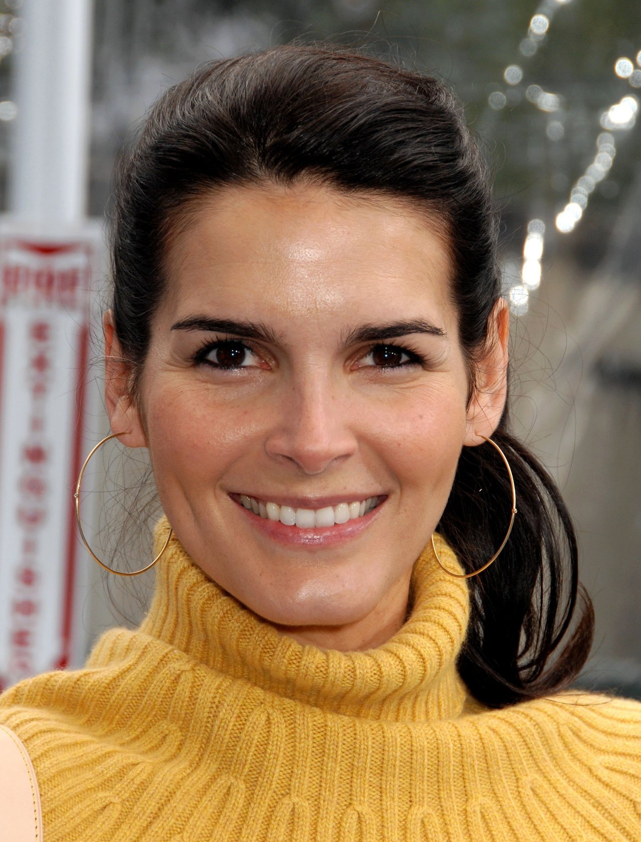 Angie Harmon leaked wallpapers