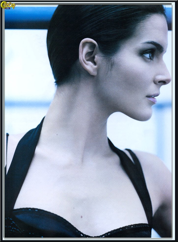 Angie Harmon leaked wallpapers
