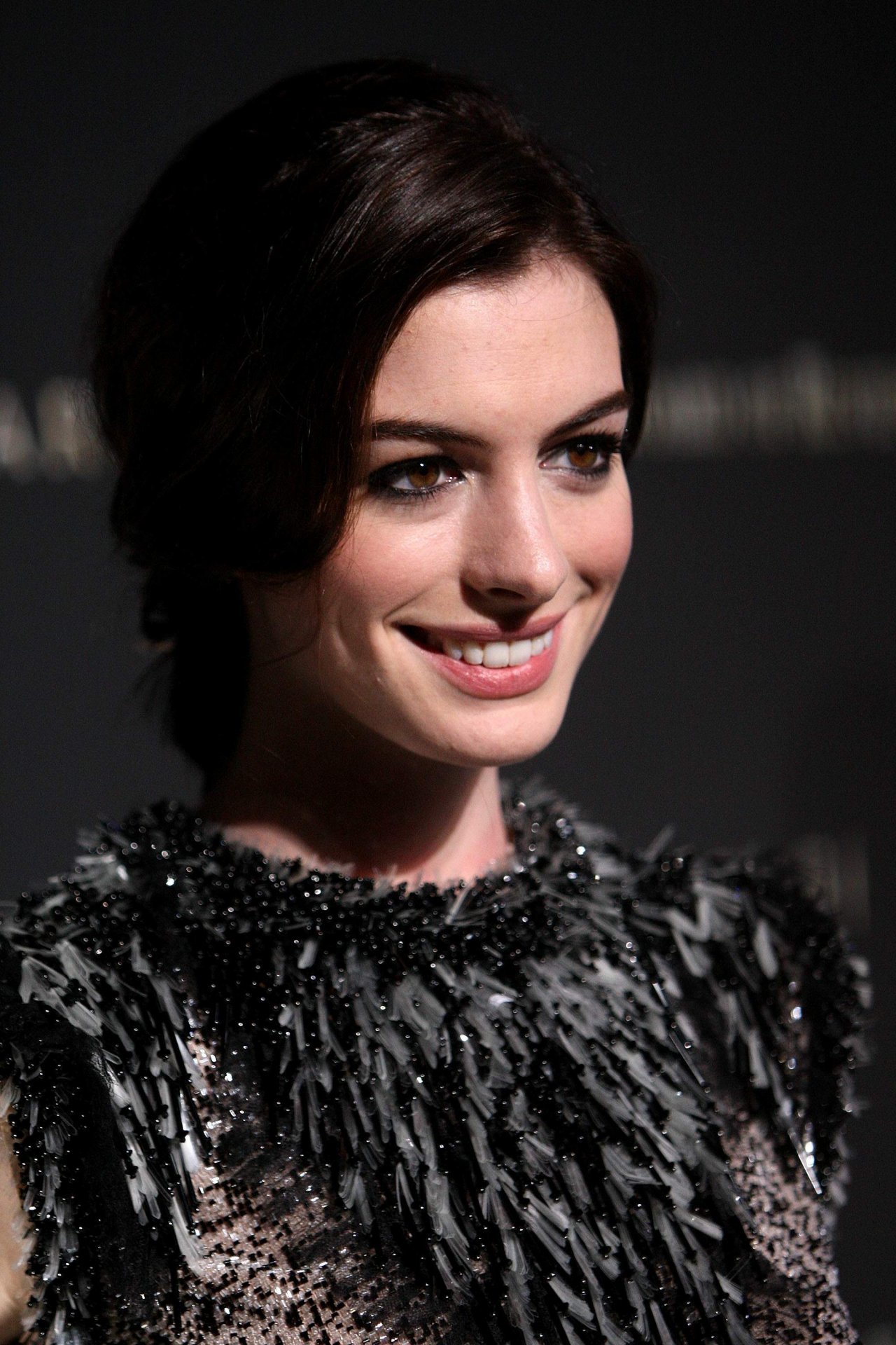 Anne Hathaway leaked wallpapers