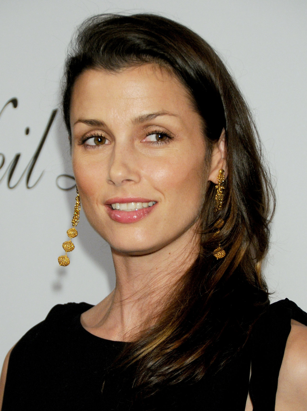 Bridget Moynahan leaked wallpapers