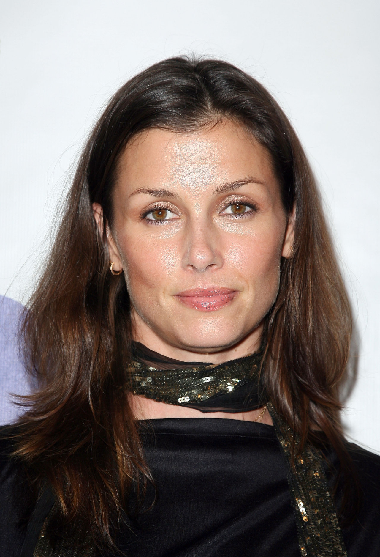 Bridget Moynahan leaked wallpapers