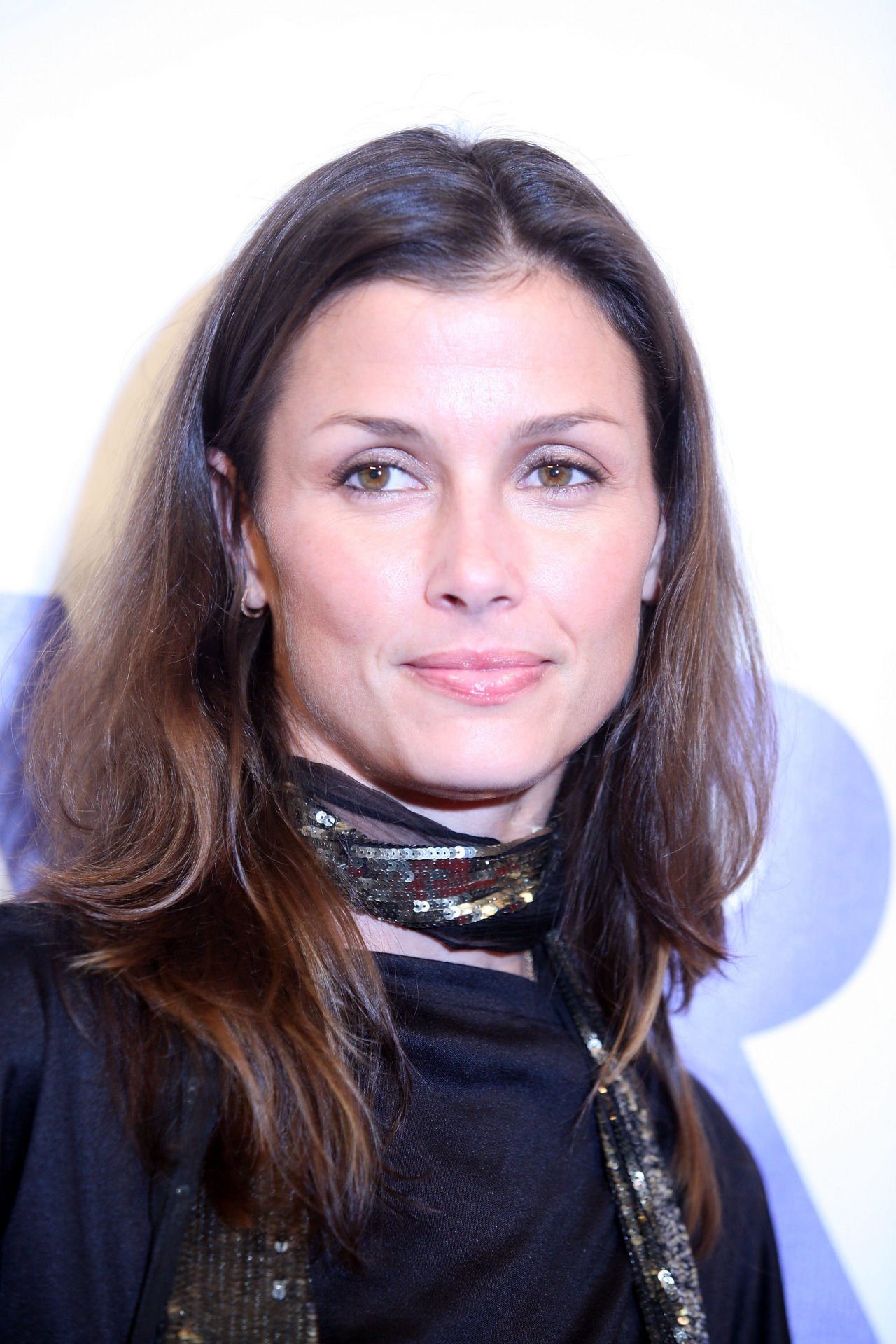 Bridget Moynahan leaked wallpapers