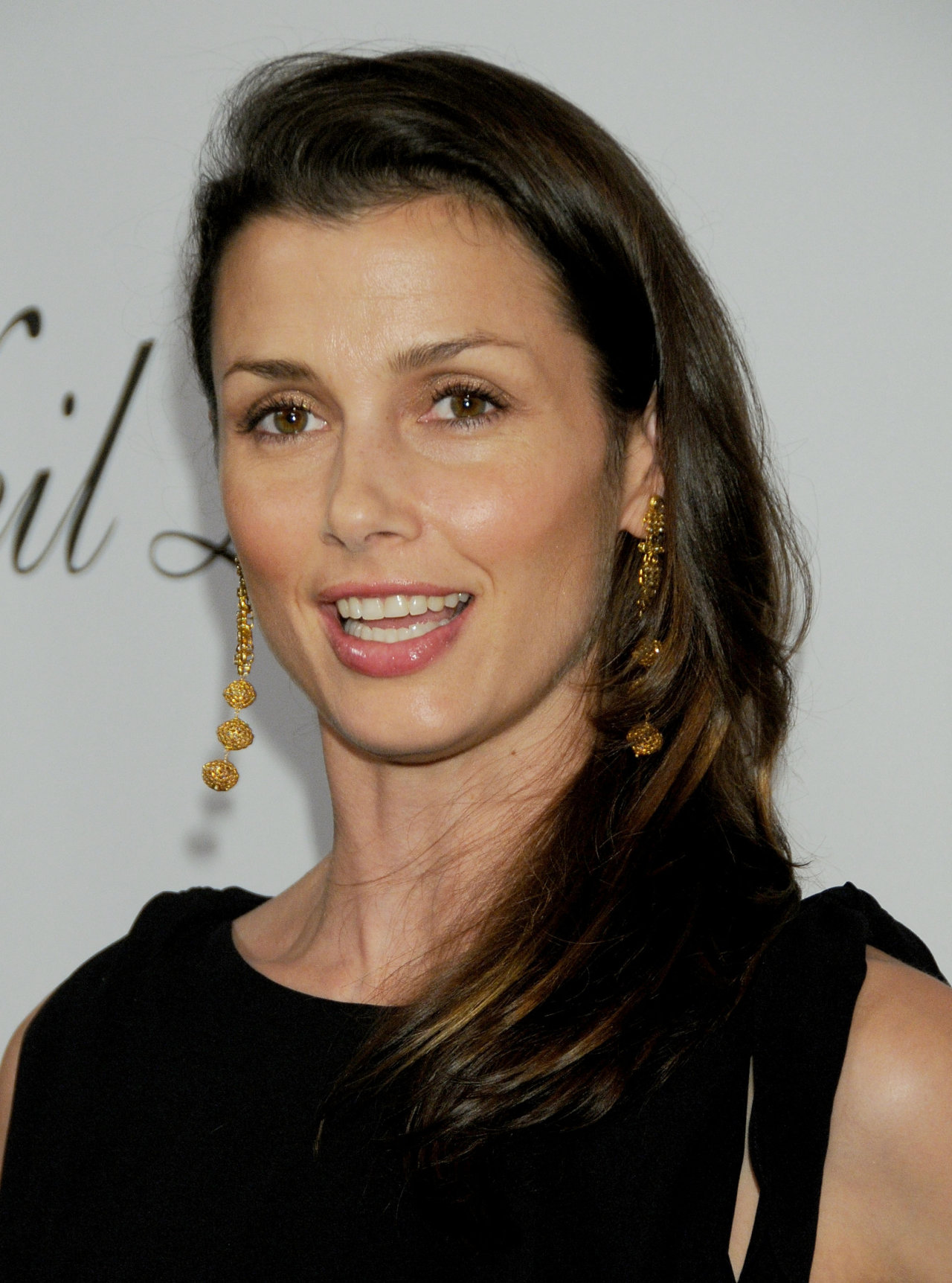 Bridget Moynahan leaked wallpapers