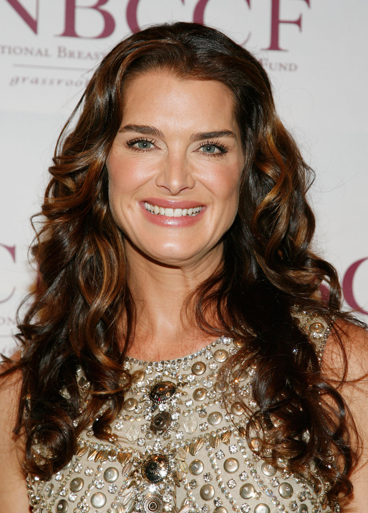 Brooke Shields leaked wallpapers