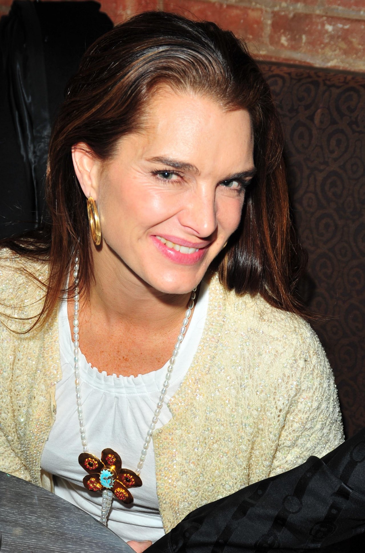 Brooke Shields leaked wallpapers