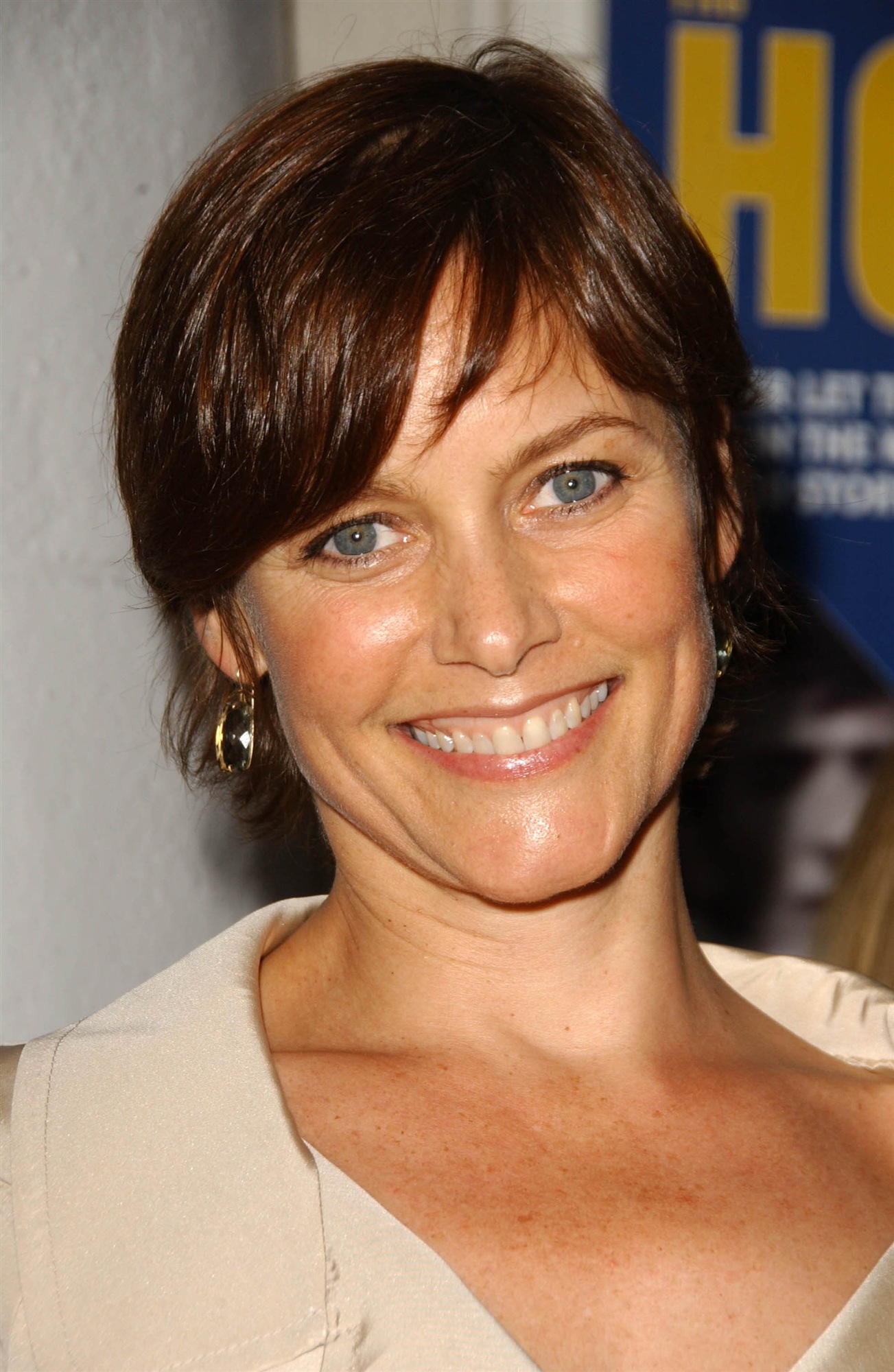 Carey Lowell leaked wallpapers