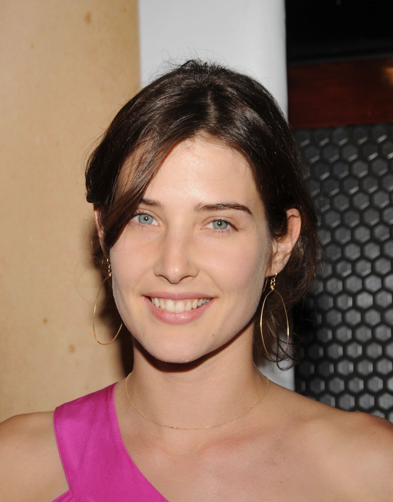 Cobie Smulders leaked wallpapers