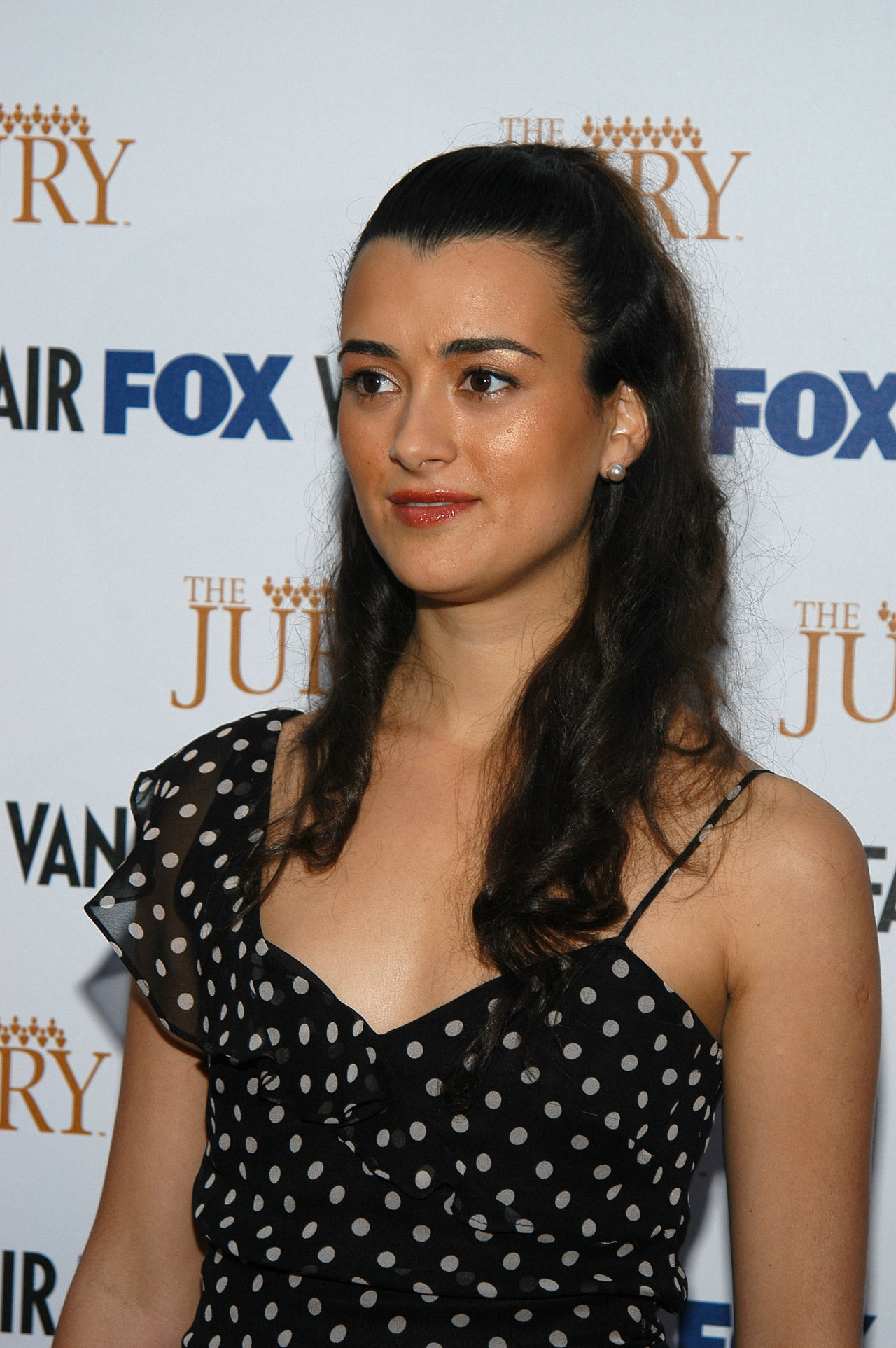 Cote De Pablo leaked wallpapers