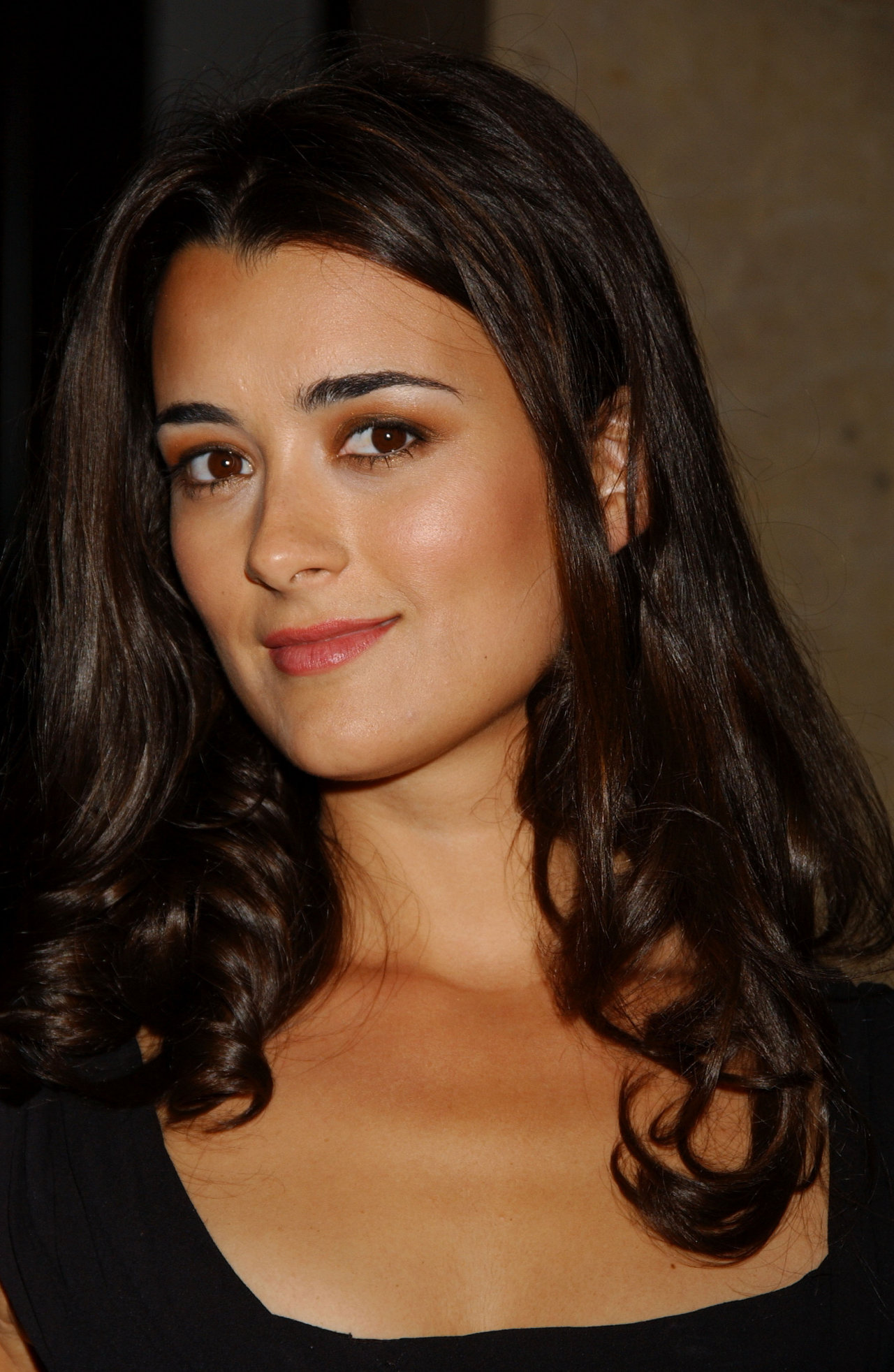 Cote De Pablo leaked wallpapers