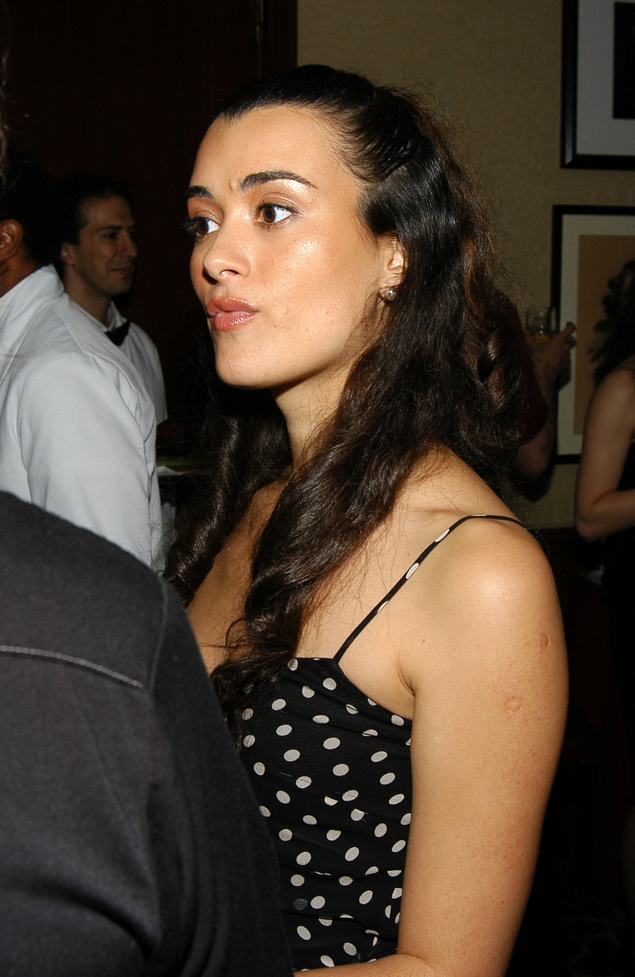 Cote De Pablo leaked wallpapers