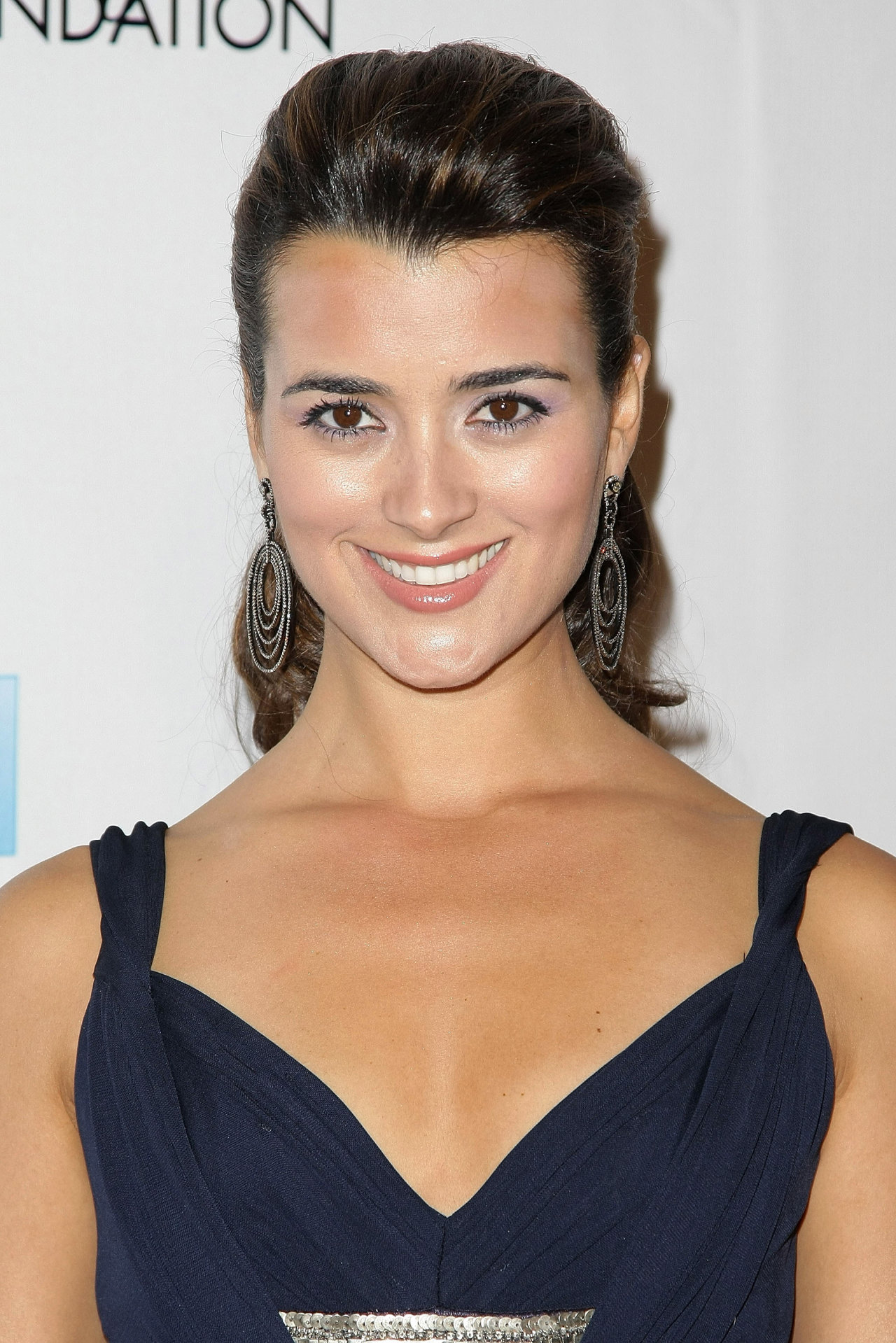 Cote De Pablo leaked wallpapers