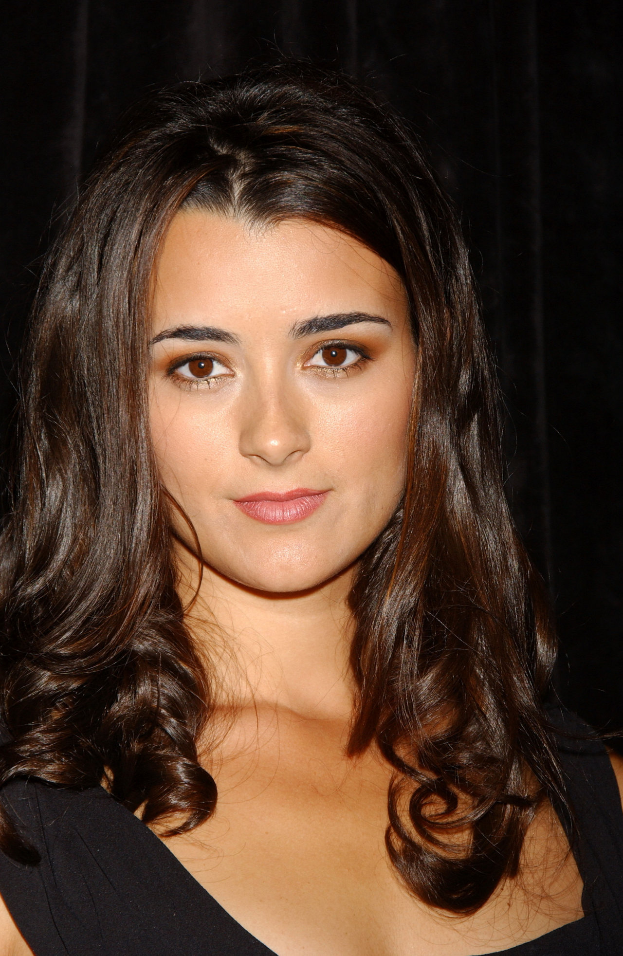 Cote De Pablo leaked wallpapers