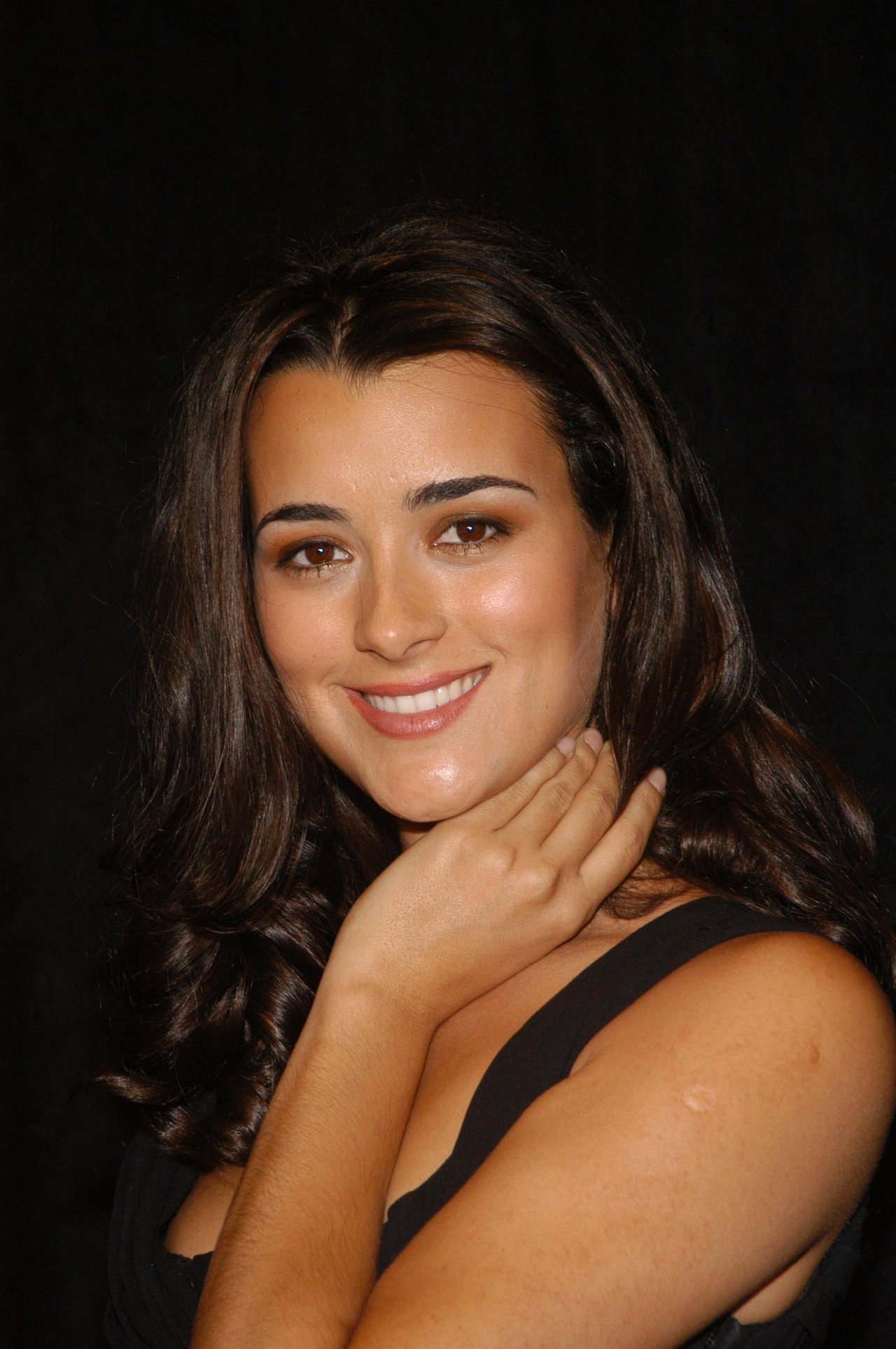 Cote De Pablo leaked wallpapers