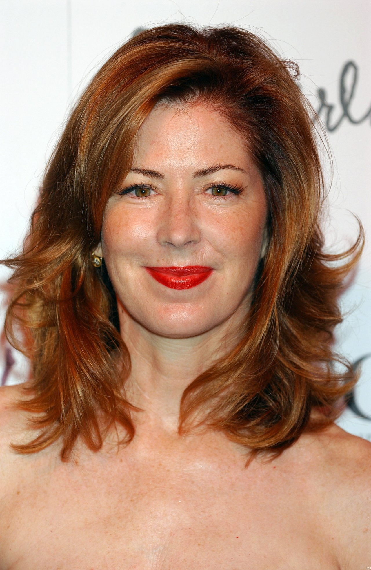 Dana Delany leaked wallpapers