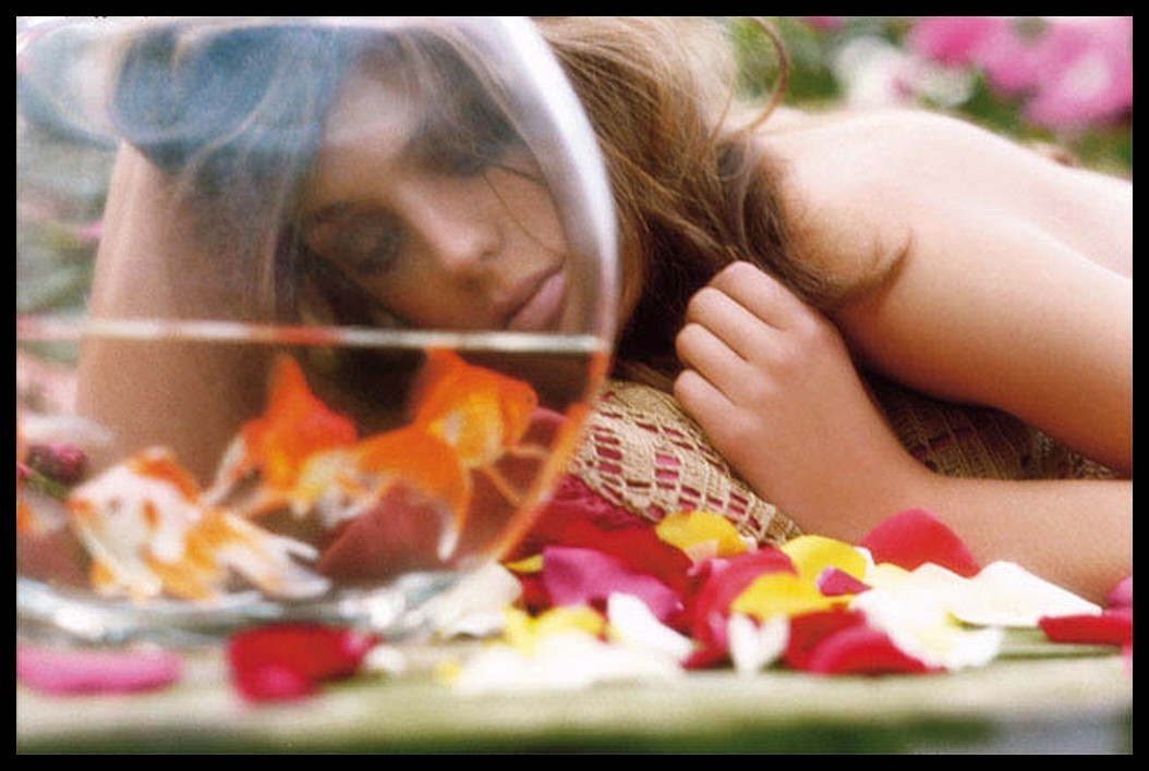 Daria Werbowy leaked wallpapers