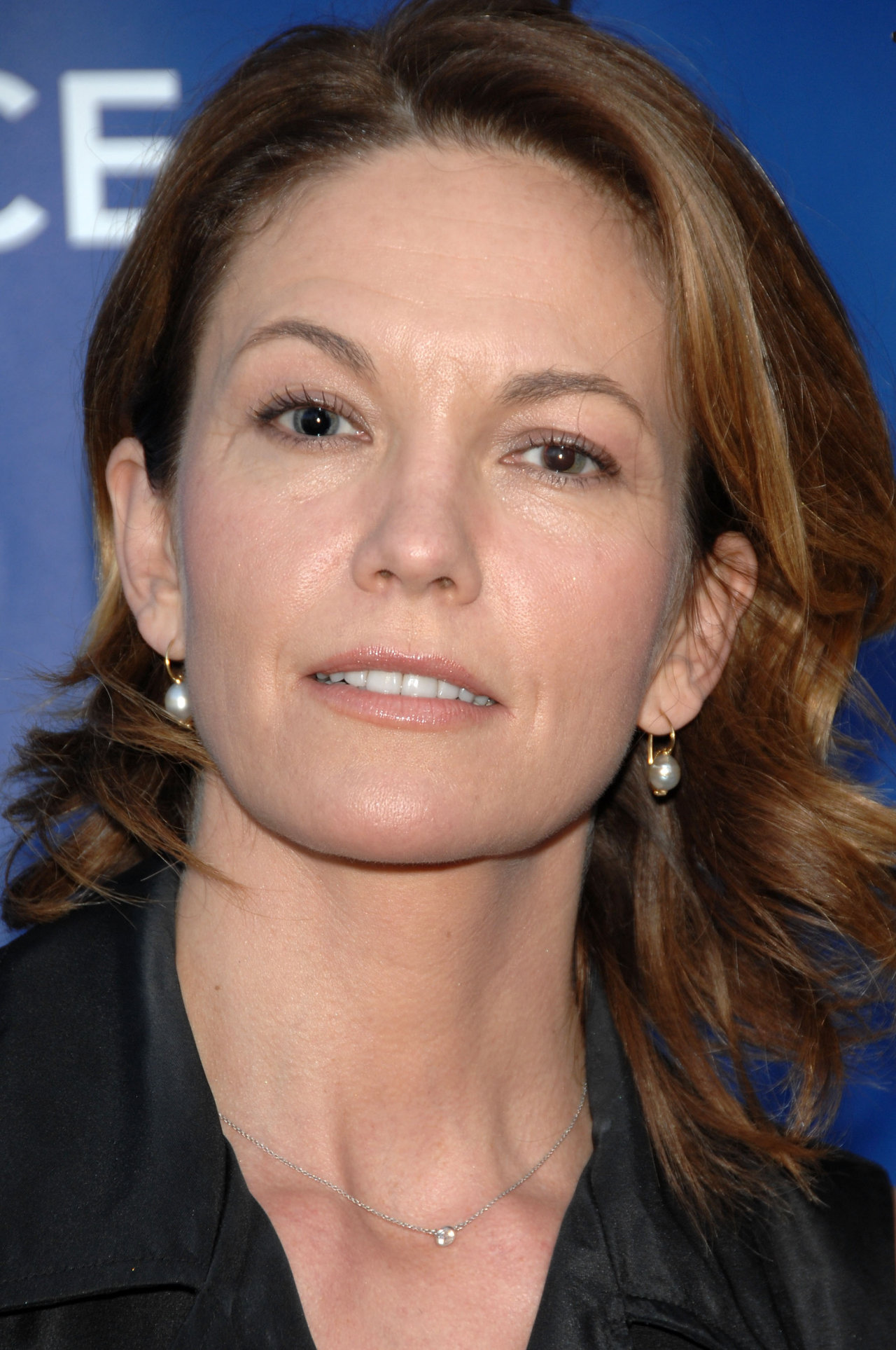 Diane Lane leaked wallpapers