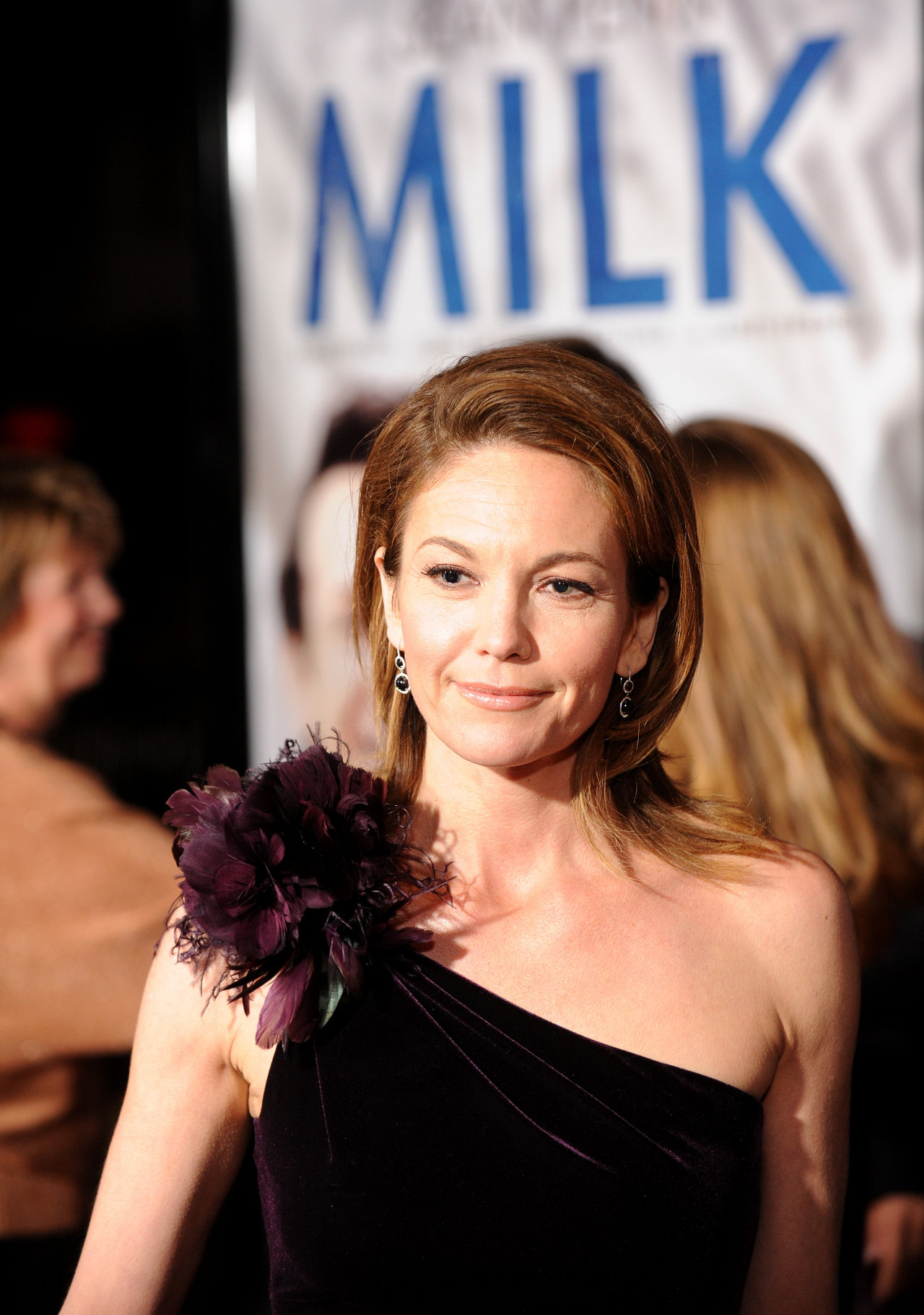 Diane Lane leaked wallpapers