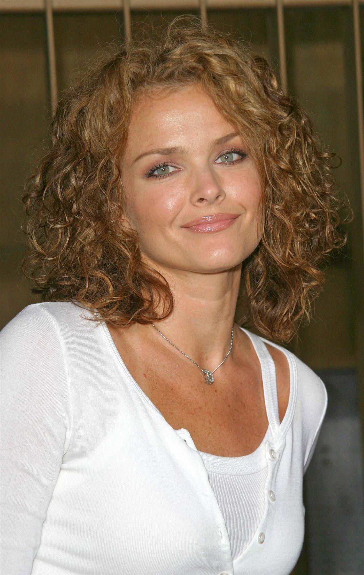 Dina Meyer leaked wallpapers
