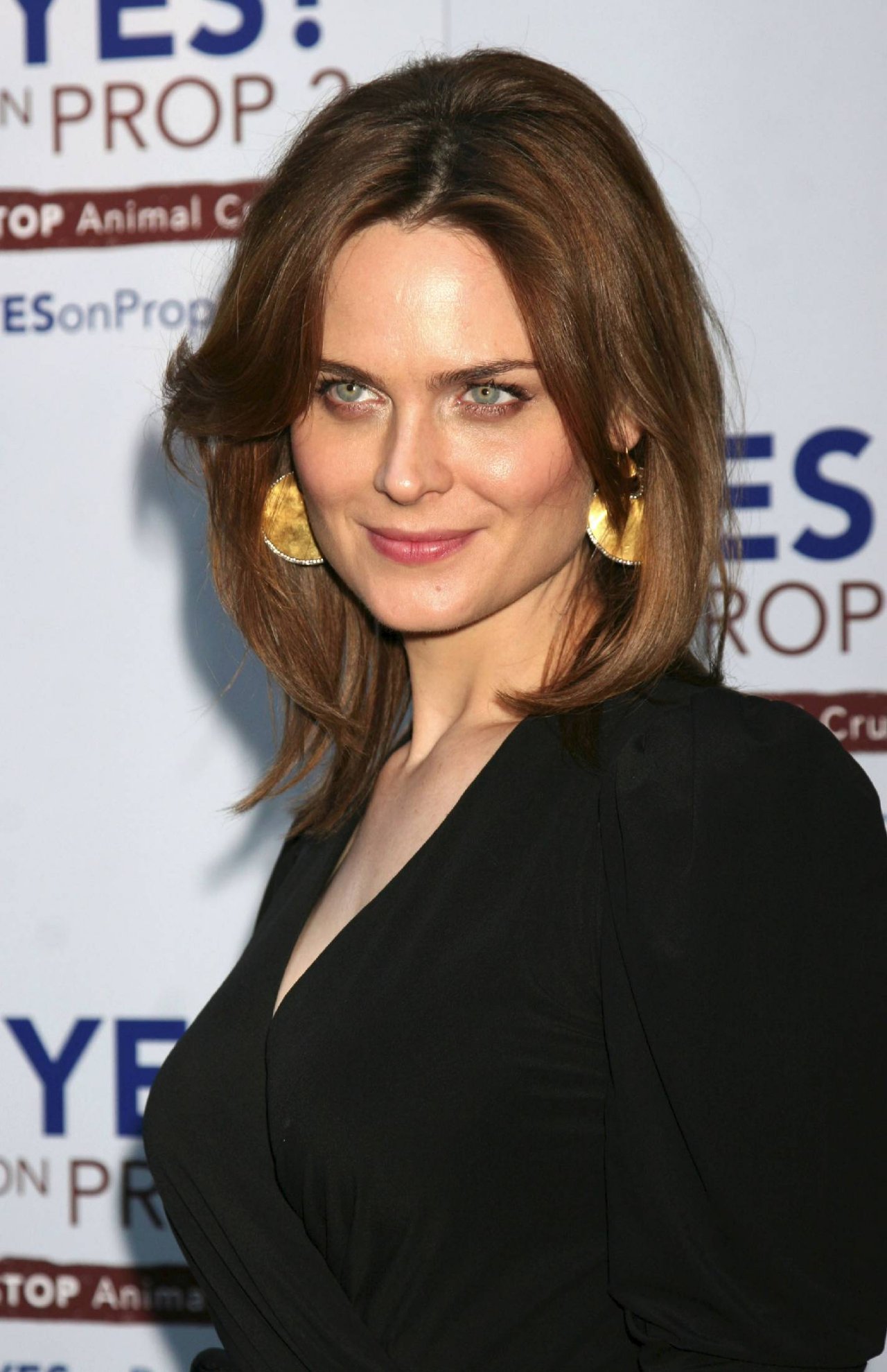 Emily Deschanel leaked wallpapers