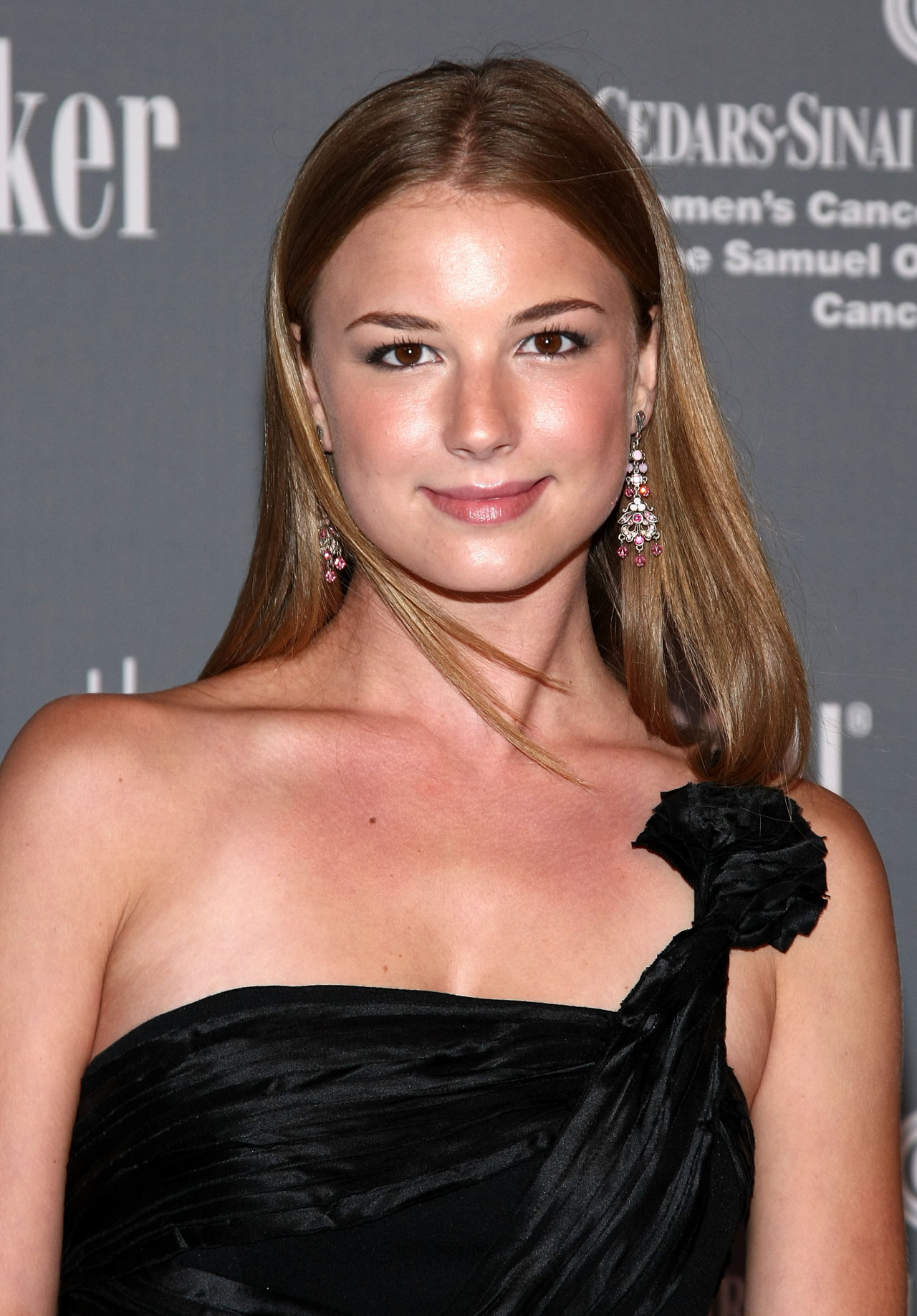 Emily VanCamp leaked wallpapers