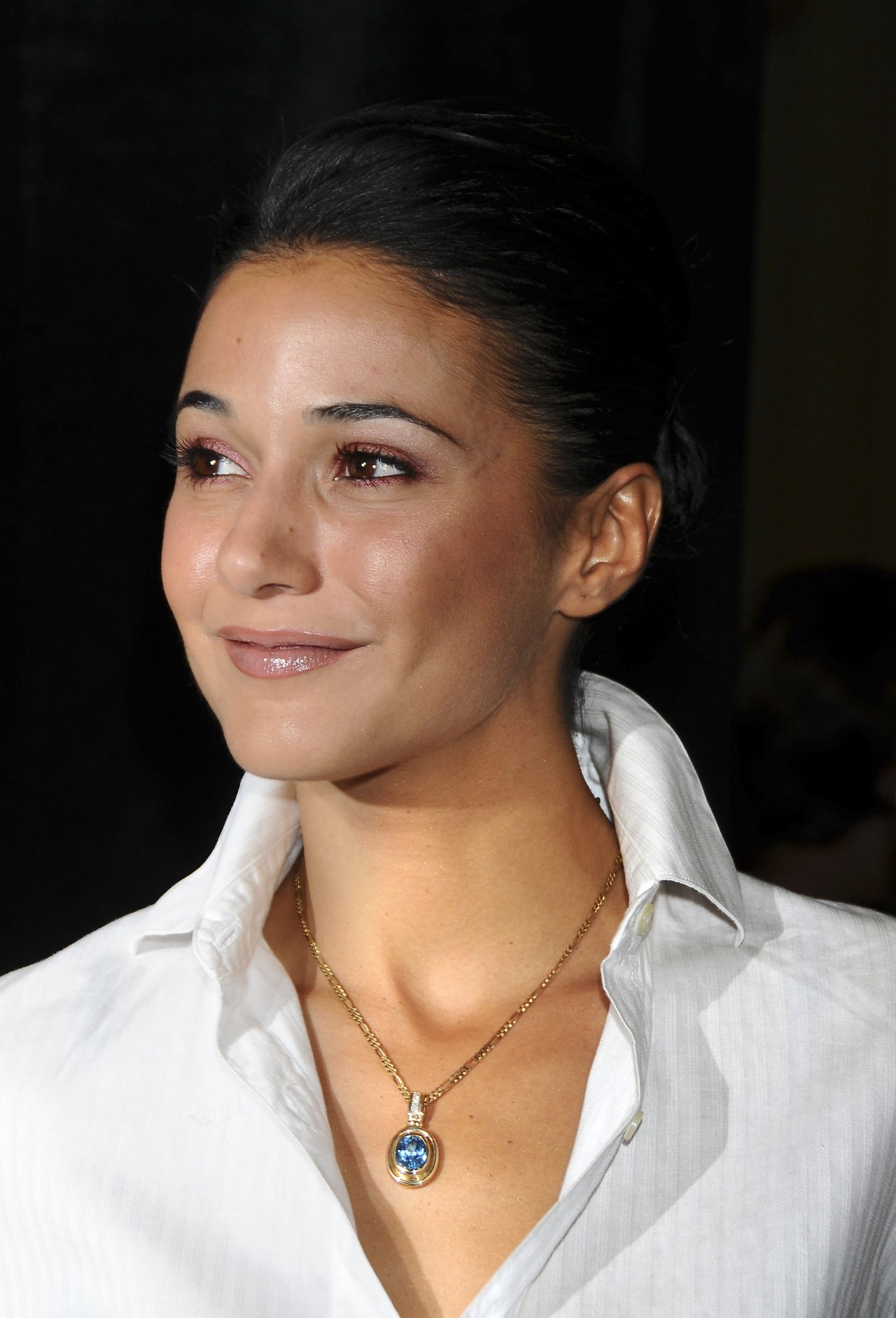 Emmanuelle Chriqui leaked wallpapers