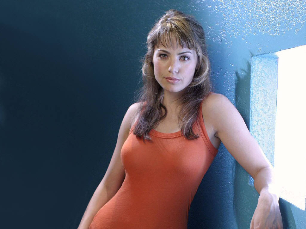 Erica Durance leaked wallpapers