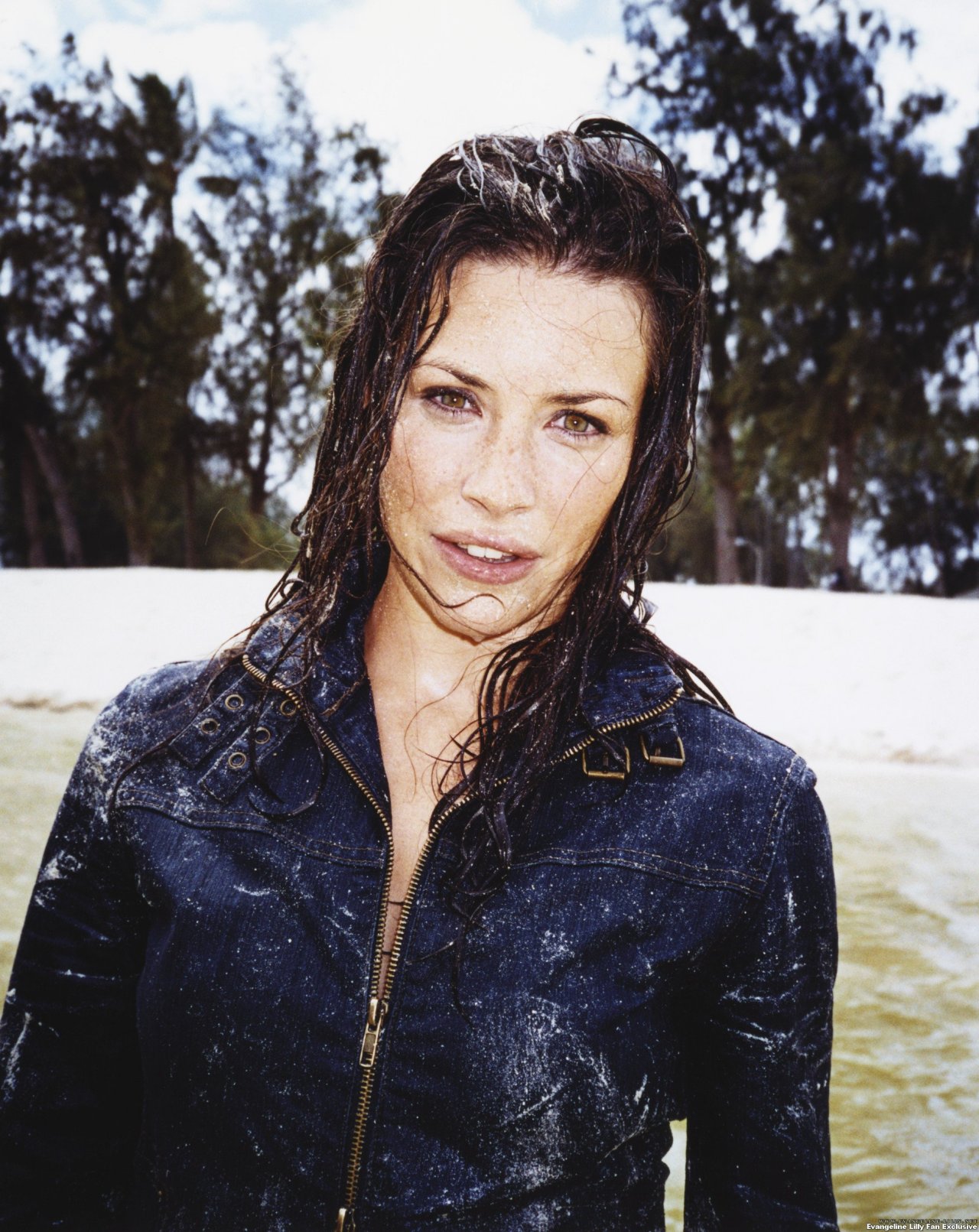 Evangeline Lilly leaked wallpapers