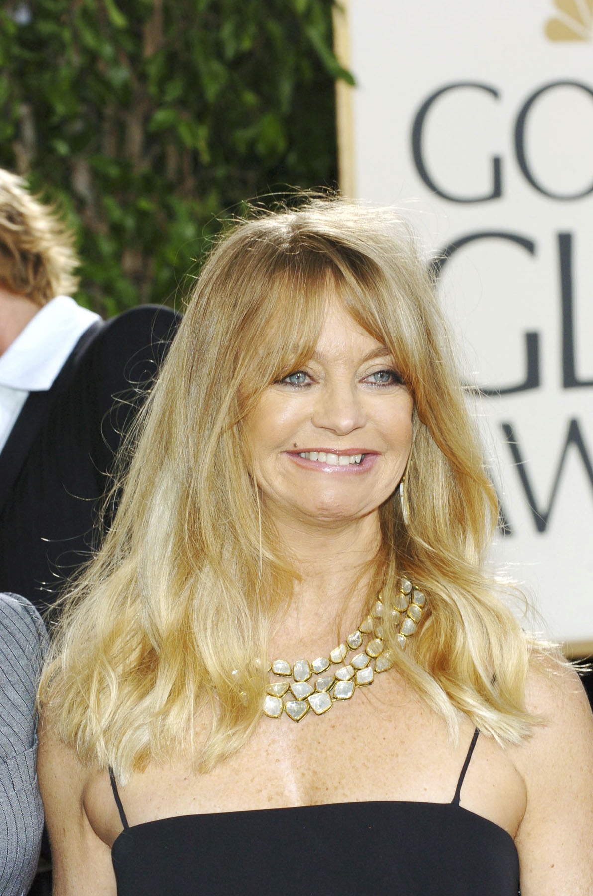 Goldie Hawn leaked wallpapers