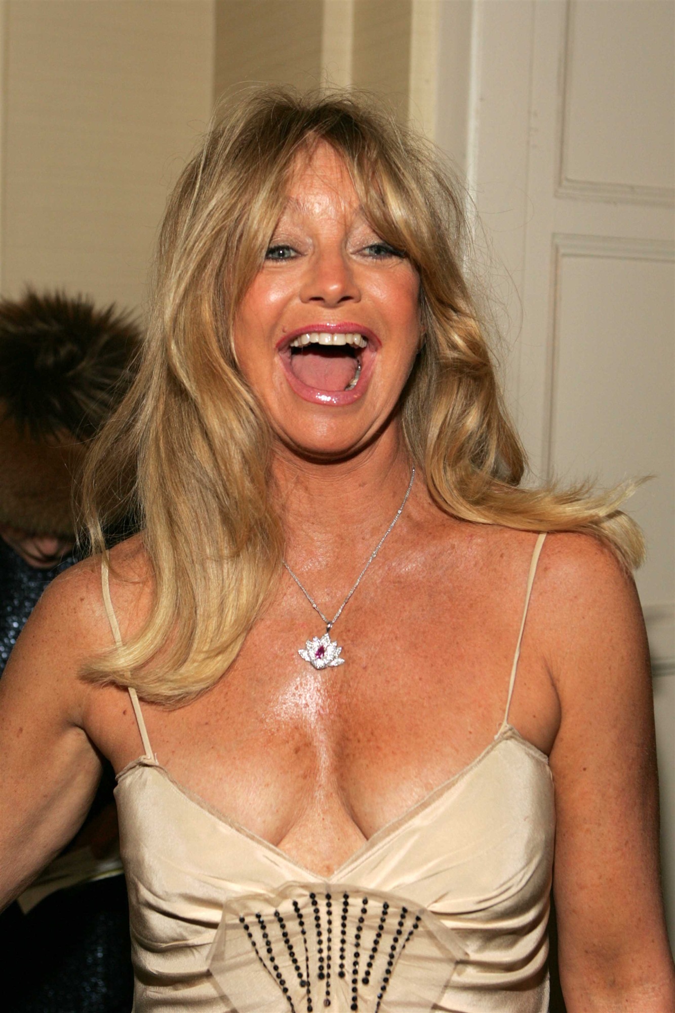 Goldie Hawn leaked wallpapers