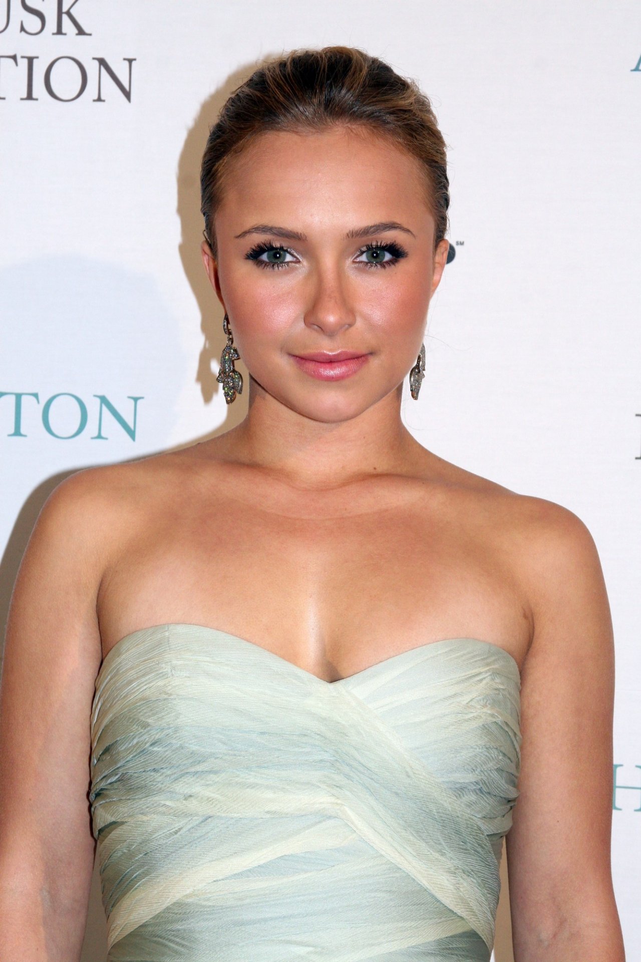 Hayden Panettiere leaked wallpapers