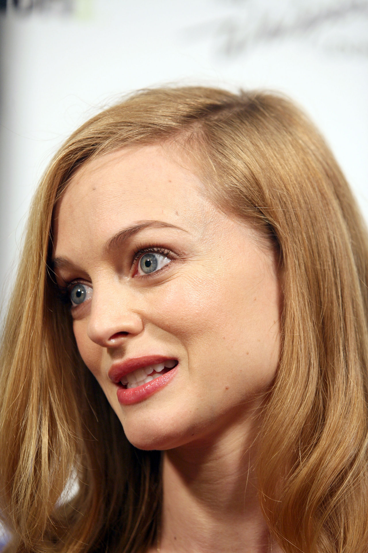 Heather Graham leaked wallpapers