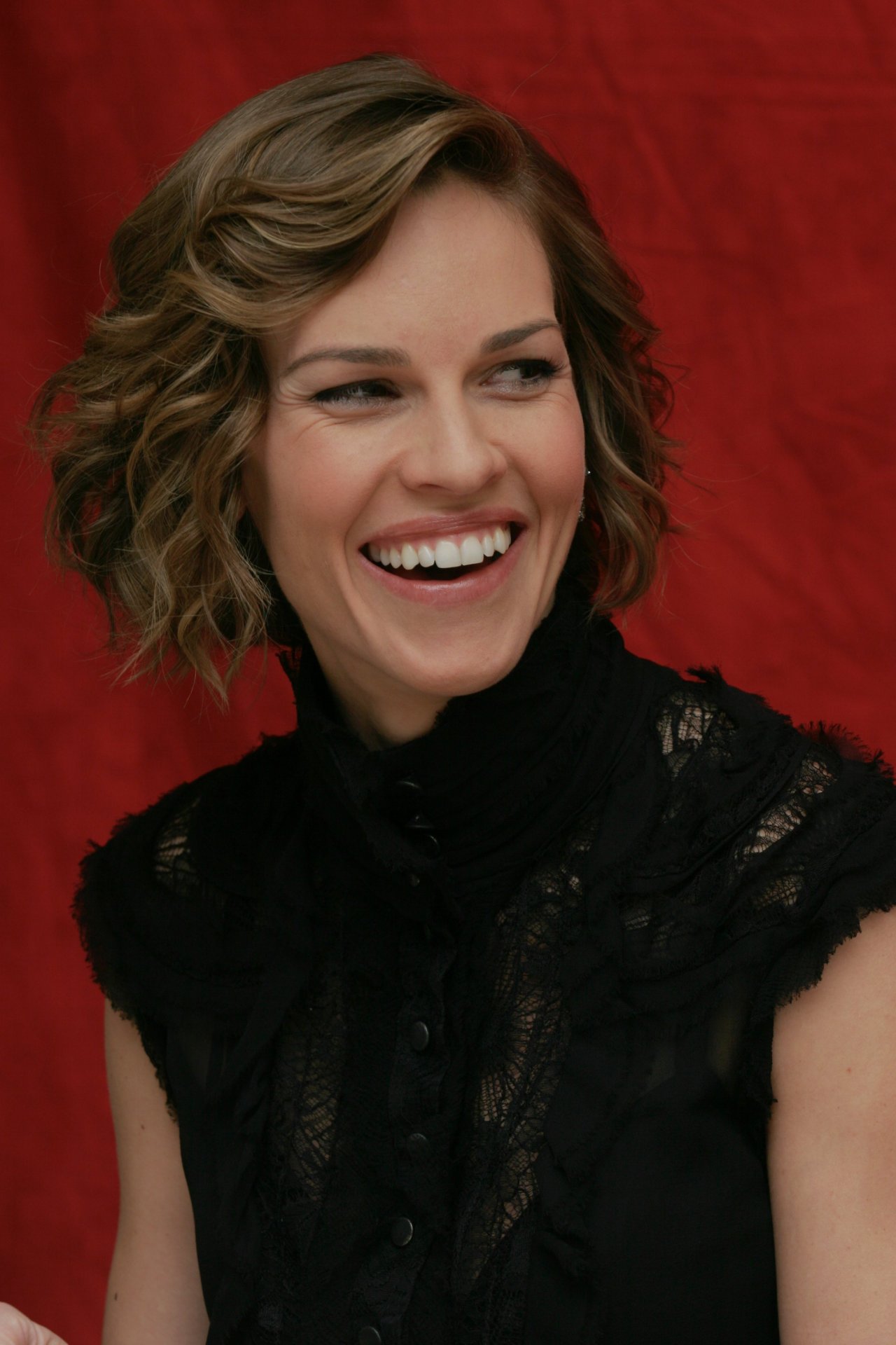 Hilary Swank leaked wallpapers