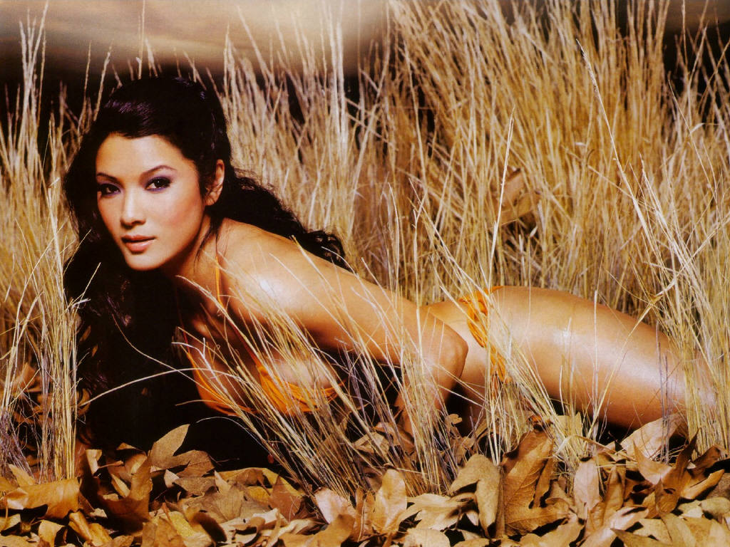 Kelly Hu leaked wallpapers