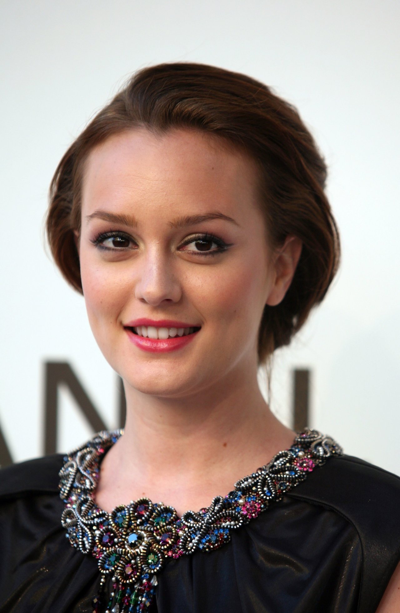 Leighton Meester leaked wallpapers