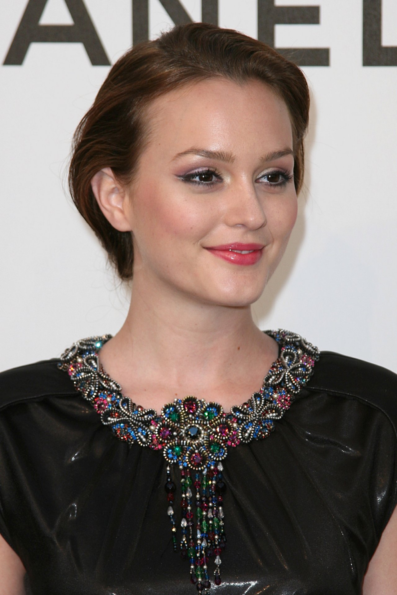 Leighton Meester leaked wallpapers