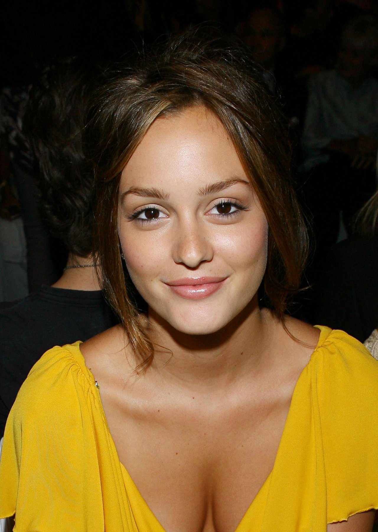 Leighton Meester leaked wallpapers