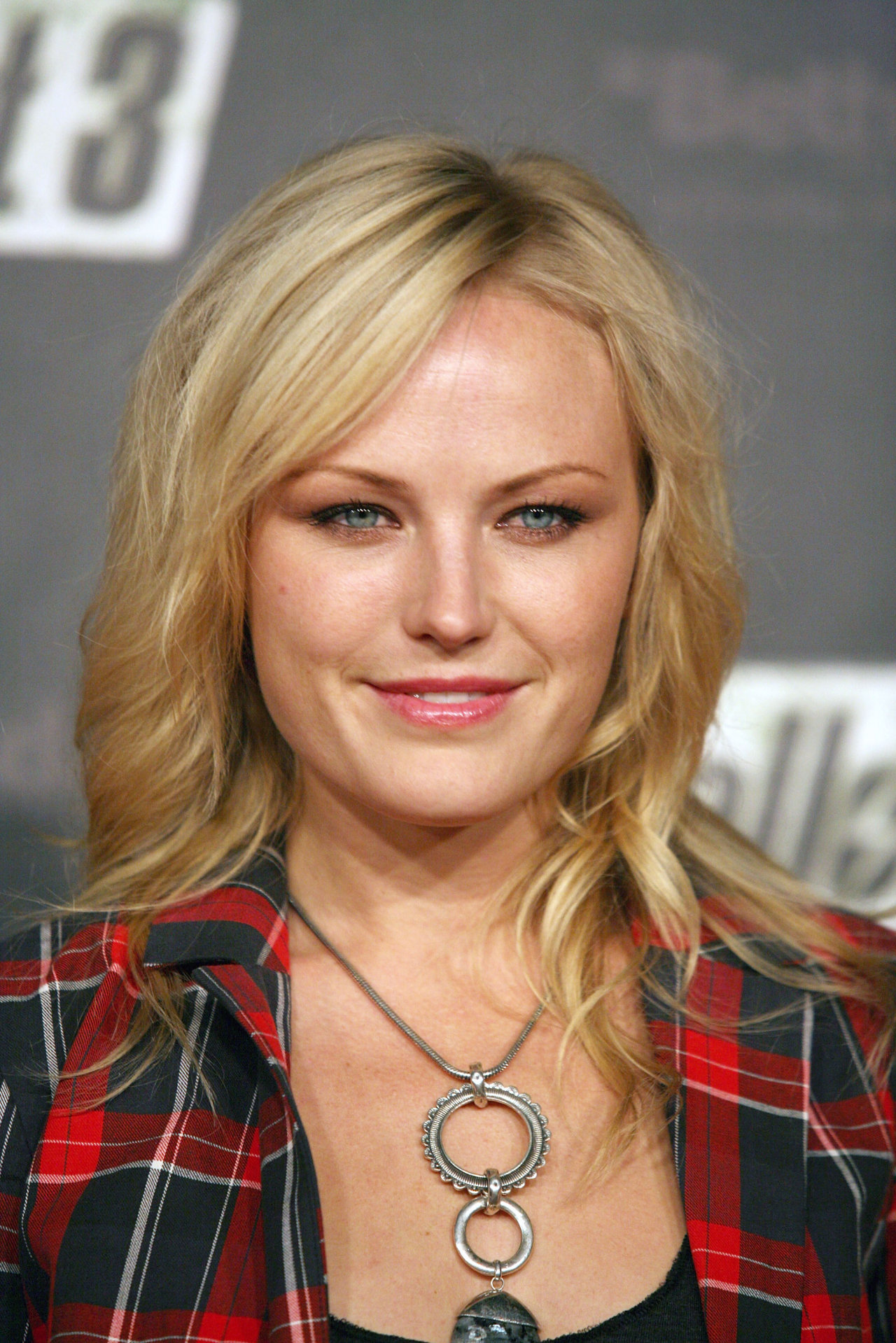 Malin Akerman leaked wallpapers