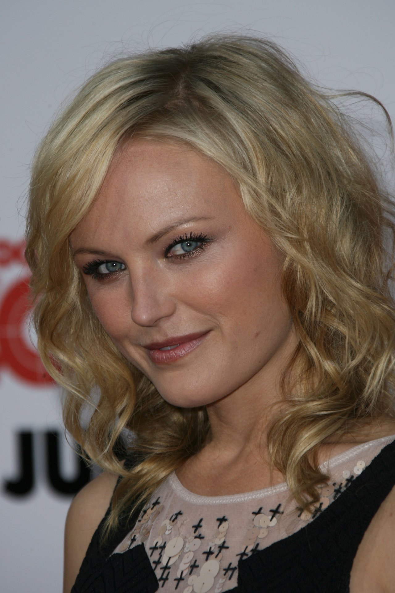 Malin Akerman leaked wallpapers